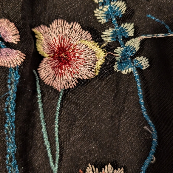 H&M Black Skirt with Vibrant Floral Embroidery - Picture 2 of 6